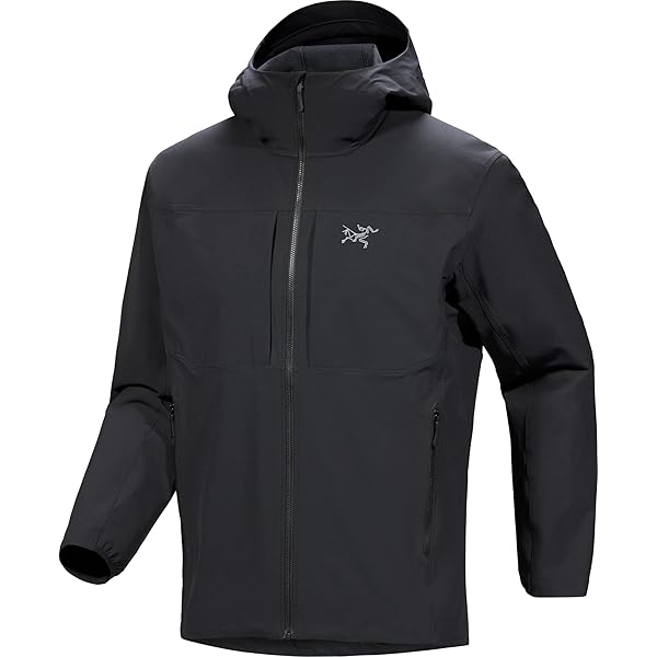 Amazon | [アークテリクス] ARCTERYX デルタハーフジップネック